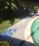 Los Angeles, CA Pool Inspection Finds Cracked Expansion Joint