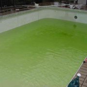 Why Do Pools Turn Green?